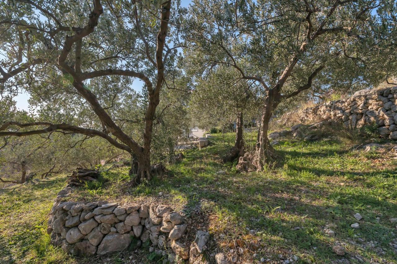 The Art Of Mediterranean Living マカルスカ エクステリア 写真